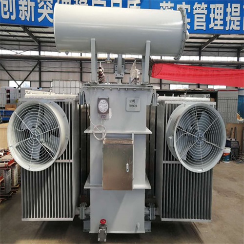 万柏林10KV油浸式变压器
